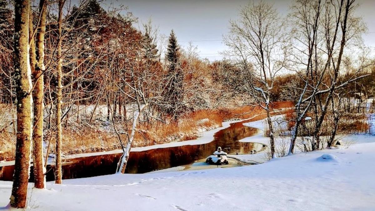 Joeaeaere Puhkekeskus Villa Langa Bagian luar foto