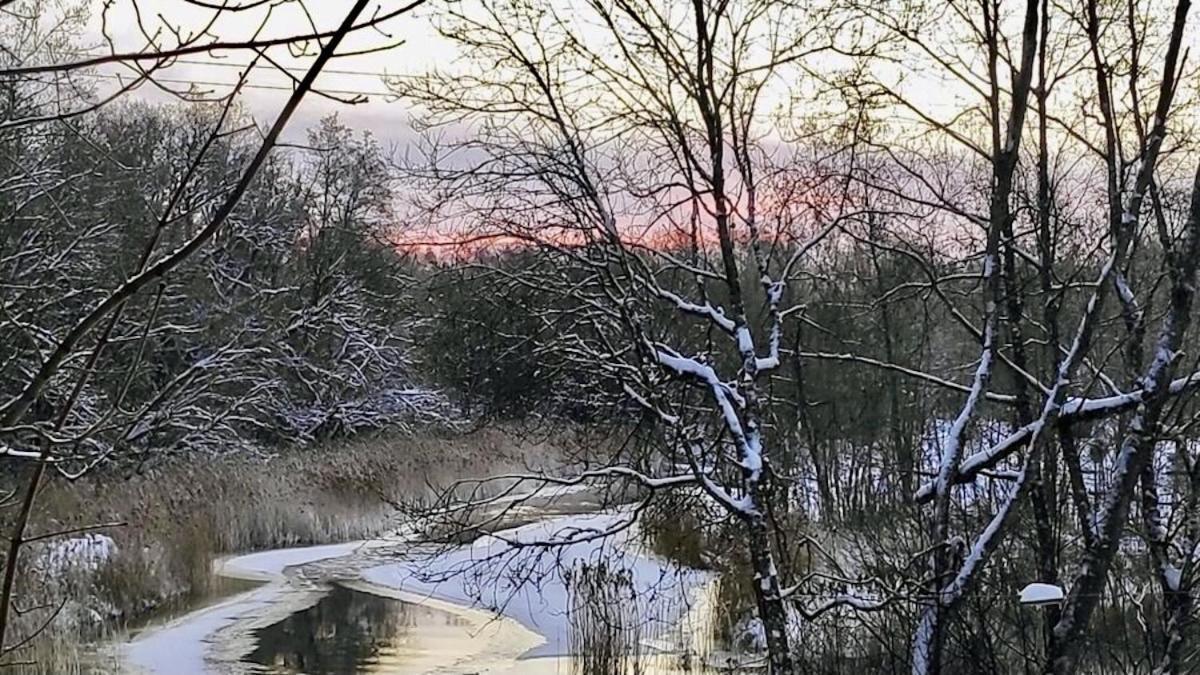 Joeaeaere Puhkekeskus Villa Langa Bagian luar foto