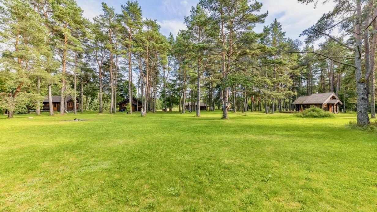 Joeaeaere Puhkekeskus Villa Langa Bagian luar foto