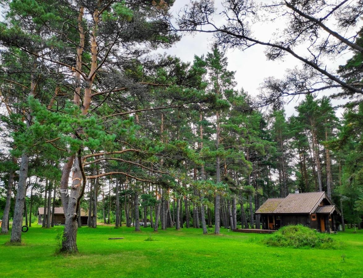 Joeaeaere Puhkekeskus Villa Langa Bagian luar foto